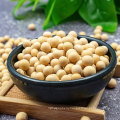 Wholesale Agriculture Products High Quality soybean